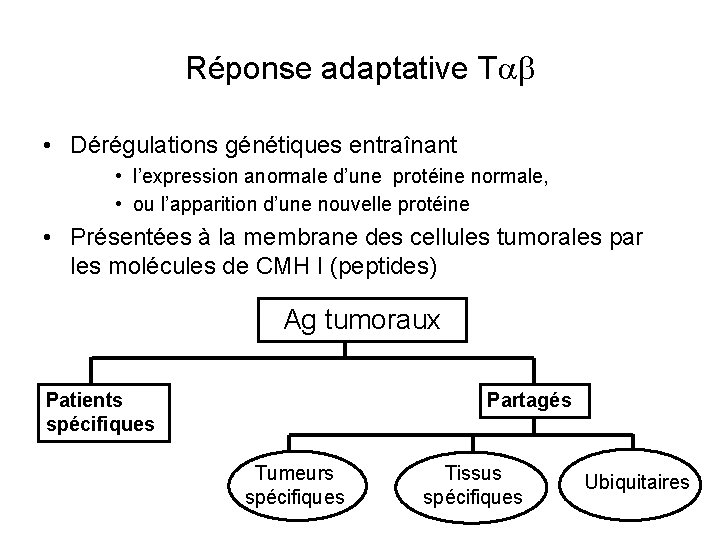 Réponse adaptative T • Dérégulations génétiques entraînant • l’expression anormale d’une protéine normale, •