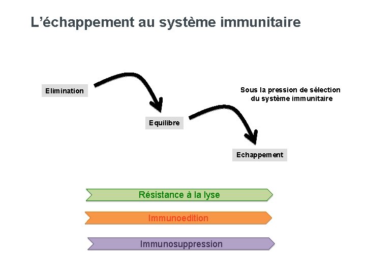 L’échappement au système immunitaire Sous la pression de sélection du système immunitaire Elimination Equilibre