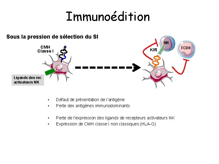 Immunoédition Sous la pression de sélection du SI NK CMH Classe I KIR Ligands