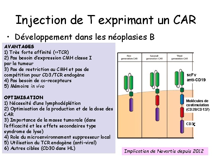 Injection de T exprimant un CAR • Développement dans les néoplasies B AVANTAGES 1)