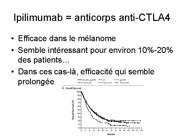 Ipilimumab = anticorps anti-CTLA 4 • Efficace dans le mélanome • Semble intéressant pour