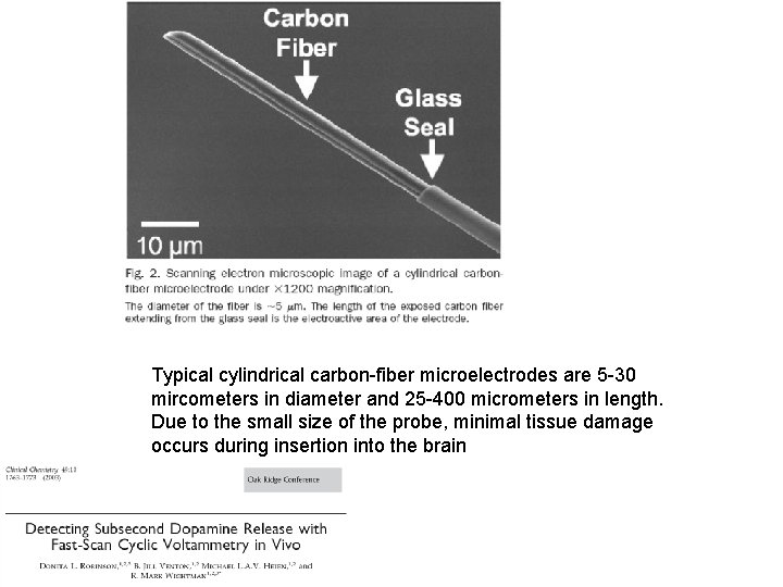 Typical cylindrical carbon-fiber microelectrodes are 5 -30 mircometers in diameter and 25 -400 micrometers Typical cylindrical carbon-fiber microelectrodes are 5 -30 mircometers in diameter and 25 -400 micrometers