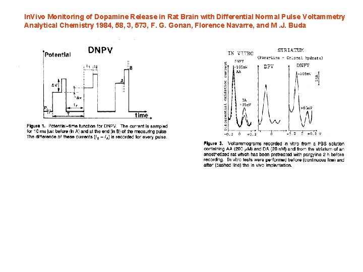 In. Vivo Monitoring of Dopamine Release in Rat Brain with Differential Normal Pulse Voltammetry In. Vivo Monitoring of Dopamine Release in Rat Brain with Differential Normal Pulse Voltammetry