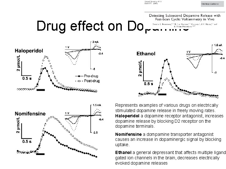 Drug effect on Dopamine Represents examples of various drugs on electrically stimulated dopamine release Drug effect on Dopamine Represents examples of various drugs on electrically stimulated dopamine release