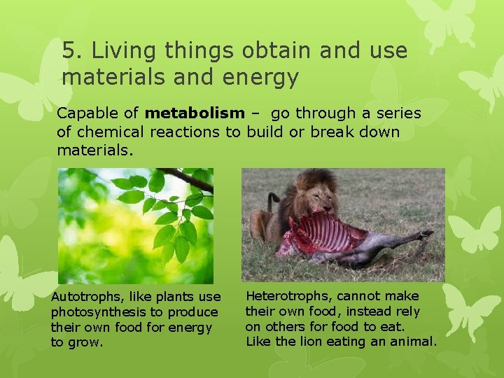 5. Living things obtain and use materials and energy Capable of metabolism – go