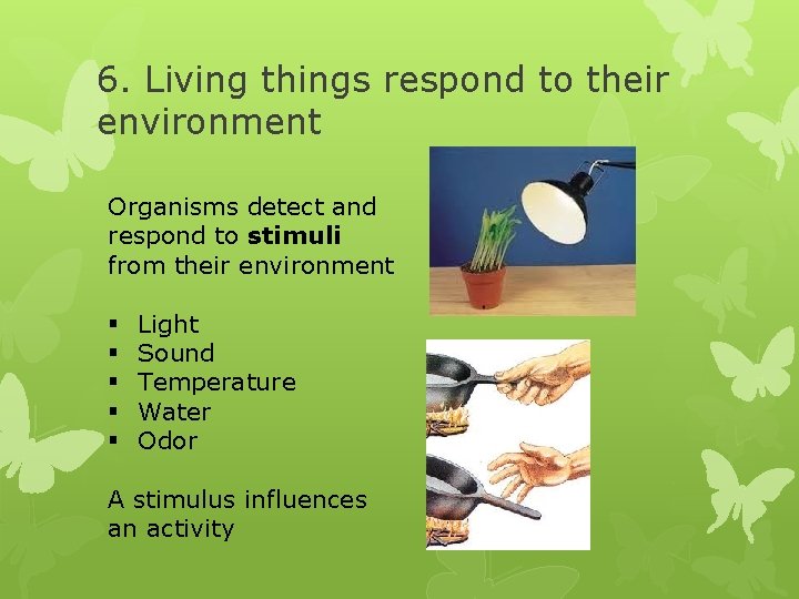 6. Living things respond to their environment Organisms detect and respond to stimuli from