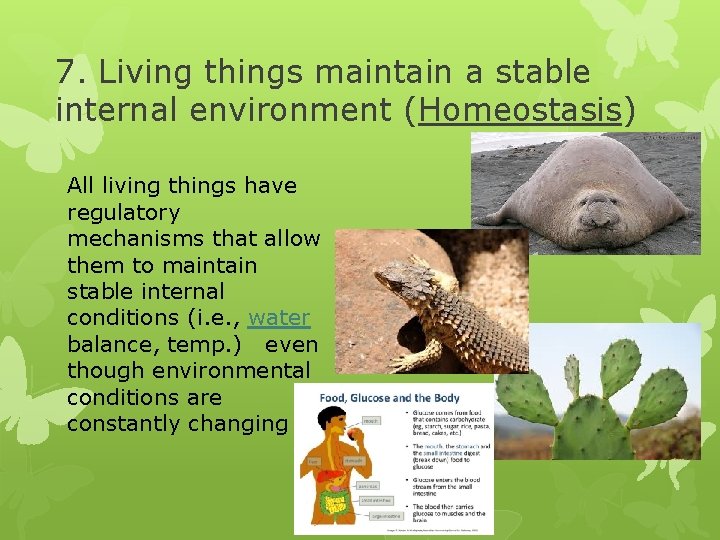 7. Living things maintain a stable internal environment (Homeostasis) All living things have regulatory