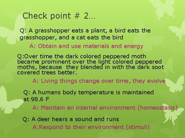 Check point # 2… Q: A grasshopper eats a plant, a bird eats the