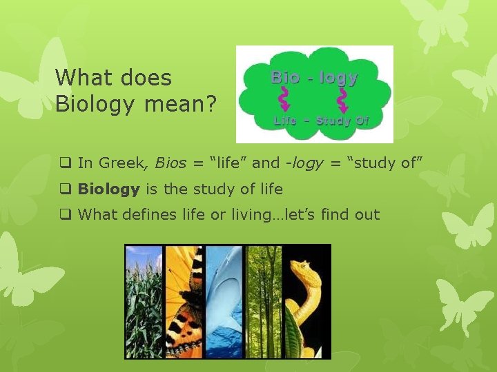 What does Biology mean? q In Greek, Bios = “life” and -logy = “study