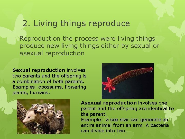 2. Living things reproduce Reproduction the process were living things produce new living things