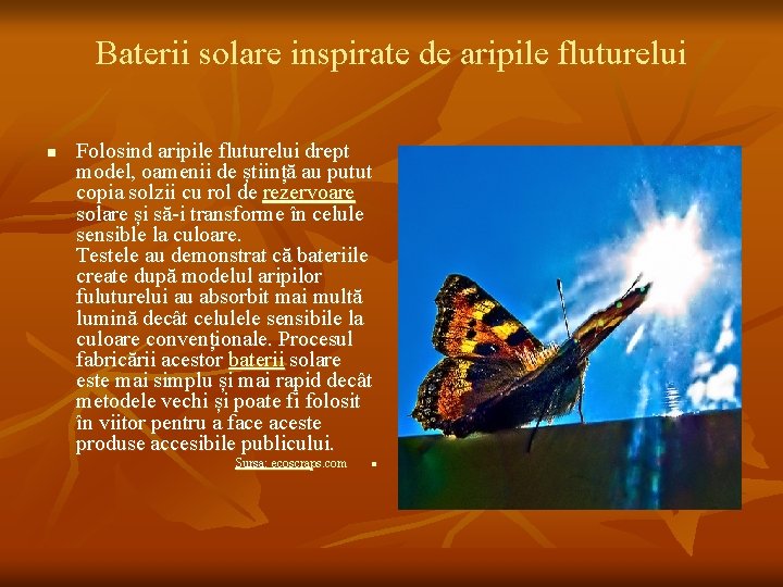 Baterii solare inspirate de aripile fluturelui n Folosind aripile fluturelui drept model, oamenii de