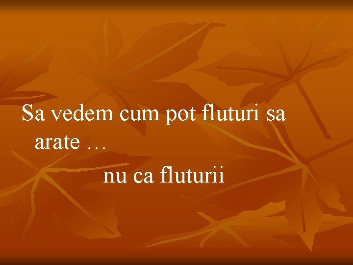 Sa vedem cum pot fluturi sa arate … nu ca fluturii 