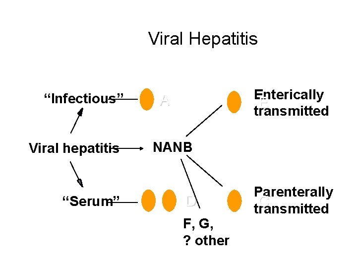 Viral Hepatitis “Infectious” Viral hepatitis “Serum” Enterically E transmitted A NANB B D F,