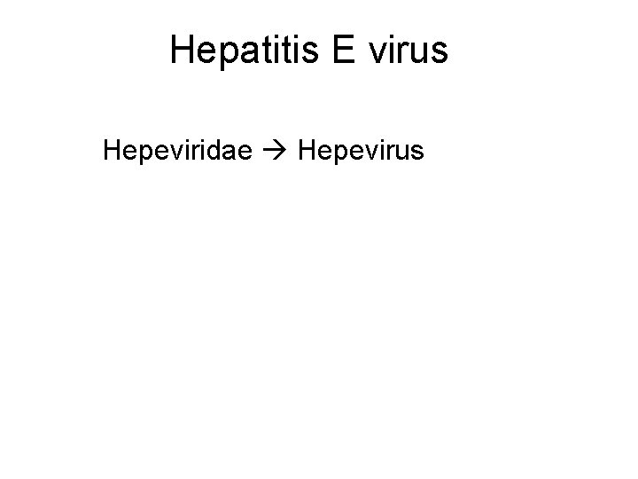 Hepatitis E virus Hepeviridae Hepevirus 