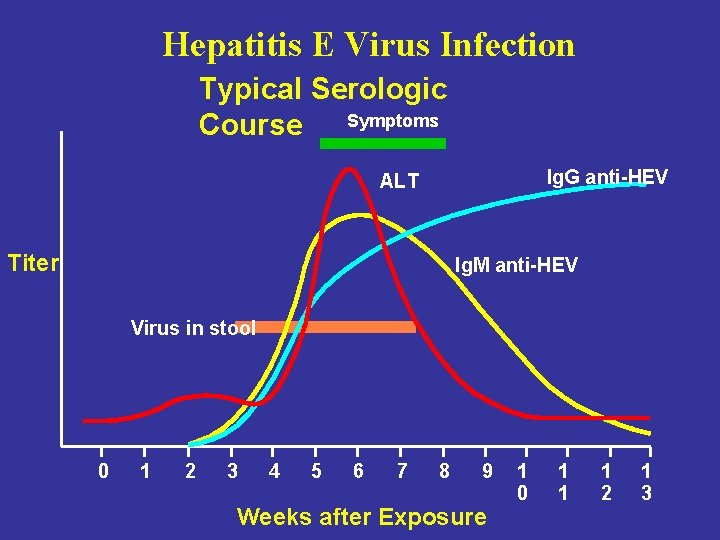 Hepatitis E Virus Infection Typical Serologic Course Symptoms Ig. G anti-HEV ALT Titer Ig.