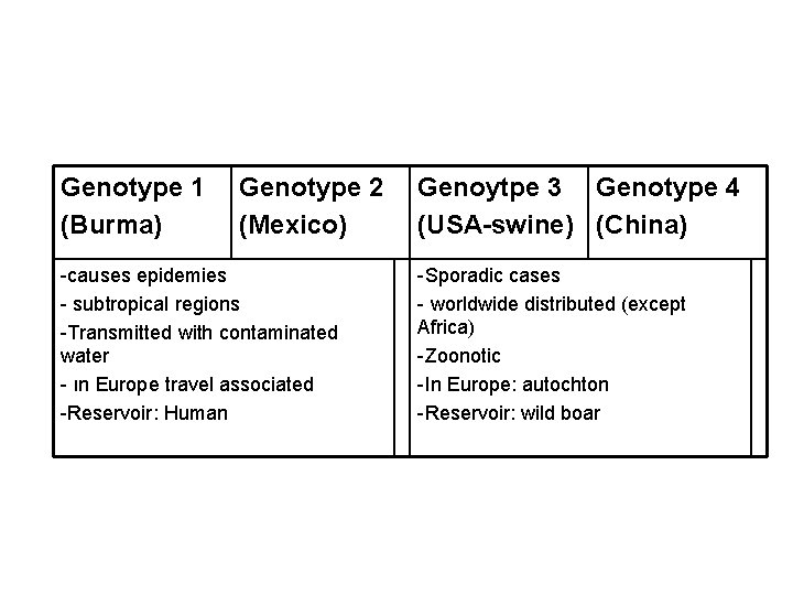 Genotype 1 (Burma) Genotype 2 (Mexico) -causes epidemies - subtropical regions -Transmitted with contaminated