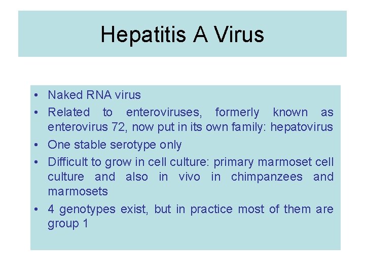 Hepatitis A Virus • Naked RNA virus • Related to enteroviruses, formerly known as