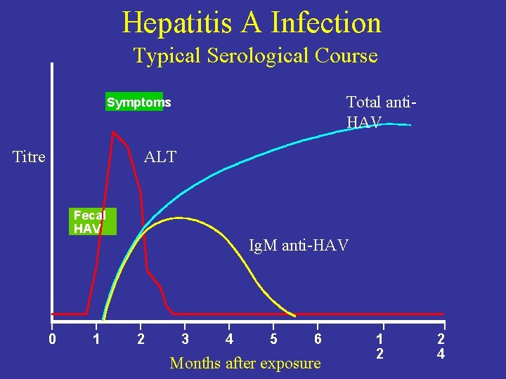 Hepatitis A Infection Typical Serological Course Total anti. HAV Symptoms Titre ALT Fecal HAV