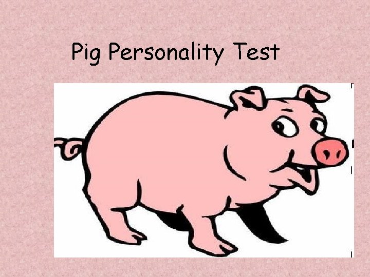 Pig Personality Test 