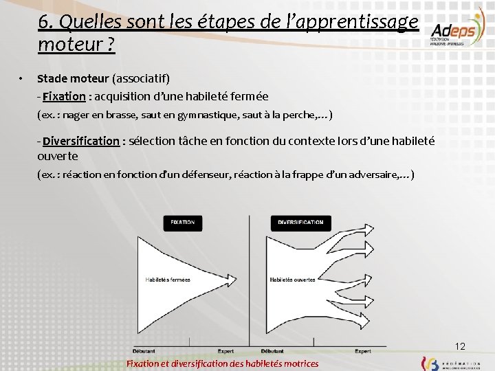 6. Quelles sont les étapes de l’apprentissage moteur ? • Stade moteur (associatif) -