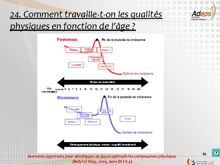 24. Comment travaille-t-on les qualités physiques en fonction de l’âge ? Moments opportuns pour