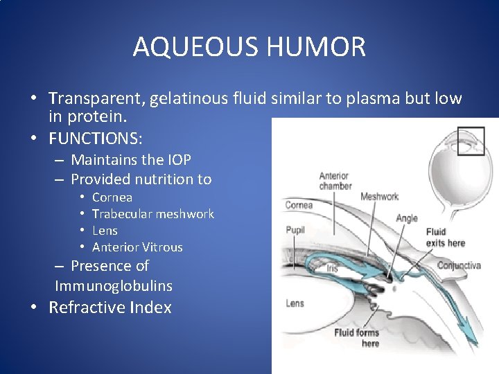 AQUEOUS HUMOR • Transparent, gelatinous fluid similar to plasma but low in protein. •