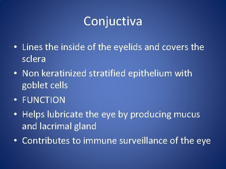 Conjuctiva • Lines the inside of the eyelids and covers the sclera • Non