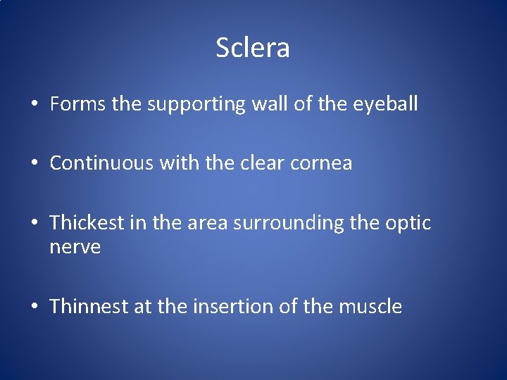 Sclera • Forms the supporting wall of the eyeball • Continuous with the clear