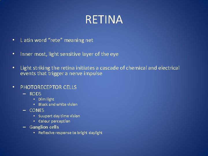 RETINA • L atin word “rete” meaning net • Inner most, light sensitive layer