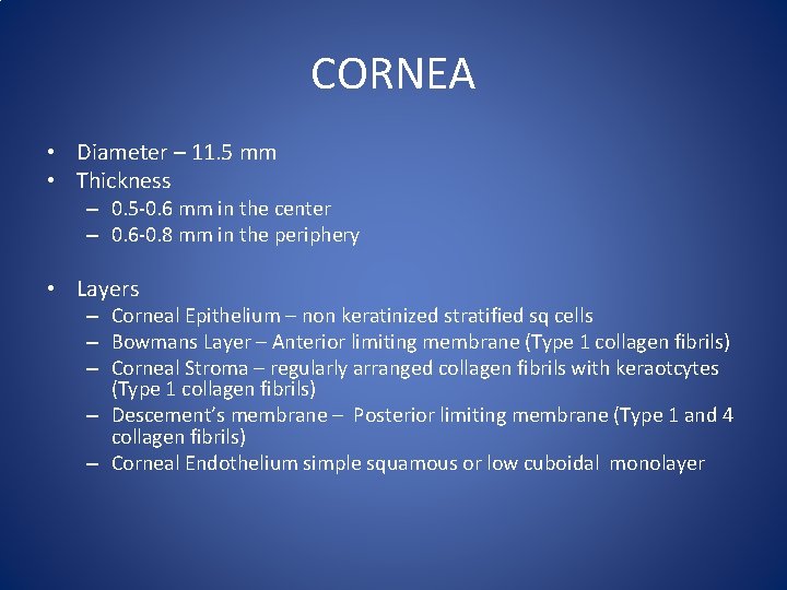 CORNEA • Diameter – 11. 5 mm • Thickness – 0. 5 -0. 6
