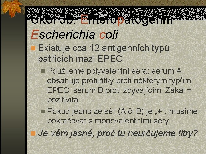 Úkol 3 b: Enteropatogenní Escherichia coli n Existuje cca 12 antigenních typů patřících mezi
