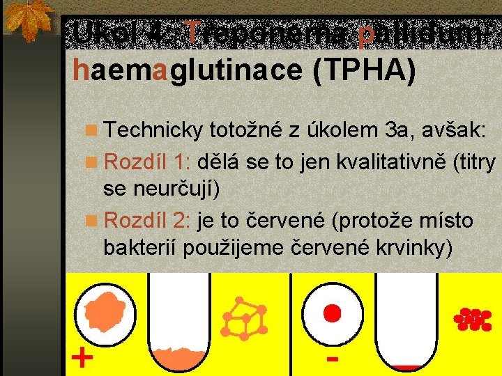 Úkol 4: Treponema pallidum haemaglutinace (TPHA) n Technicky totožné z úkolem 3 a, avšak: