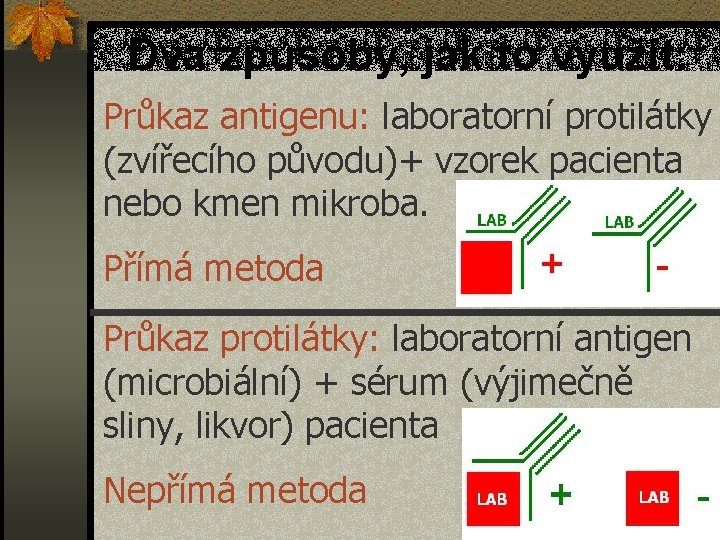 Dva způsoby, jak to využít: Průkaz antigenu: laboratorní protilátky (zvířecího původu)+ vzorek pacienta nebo