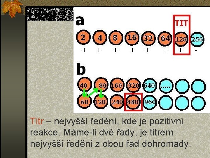 Úkol 2 Titr – nejvyšší ředění, kde je pozitivní reakce. Máme-li dvě řady, je