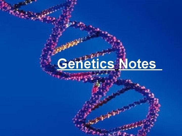  Genetics Notes 