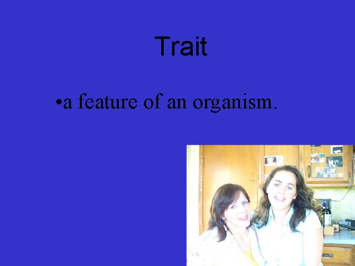  Trait • a feature of an organism. 