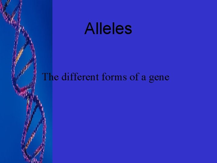 Alleles The different forms of a gene 
