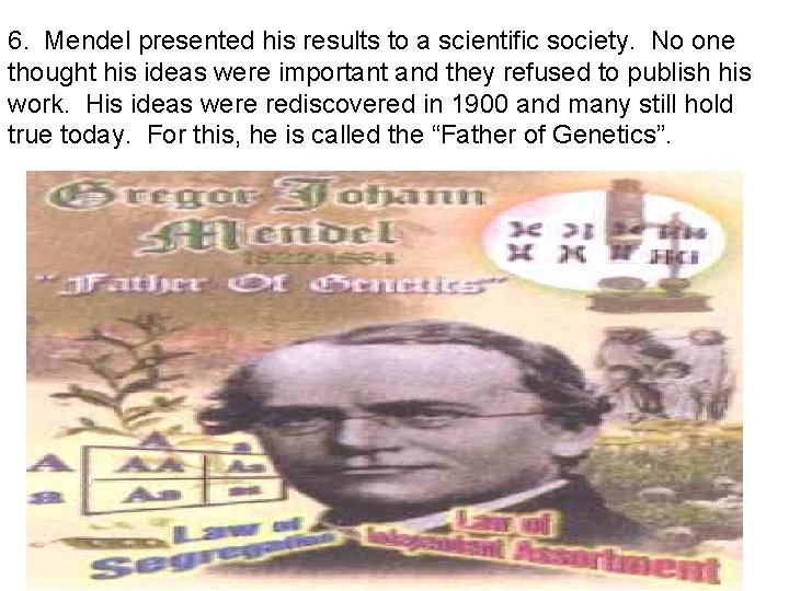 6. Mendel presented his results to a scientific society. No one thought his ideas