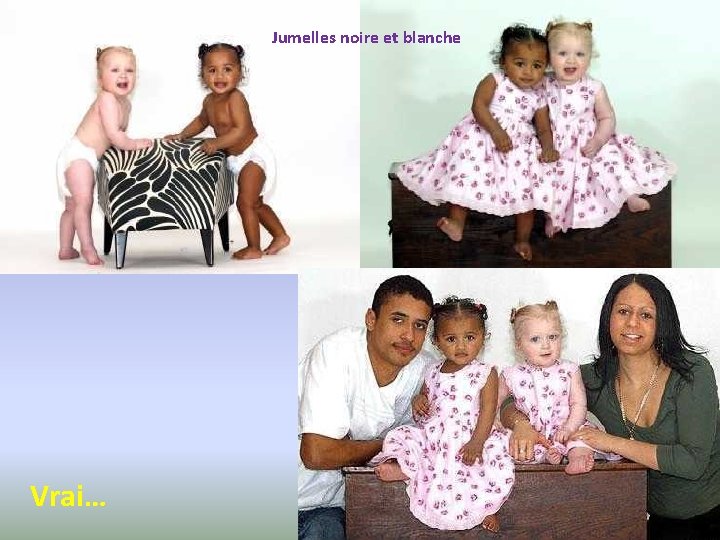 Jumelles noire et blanche Vrai… 