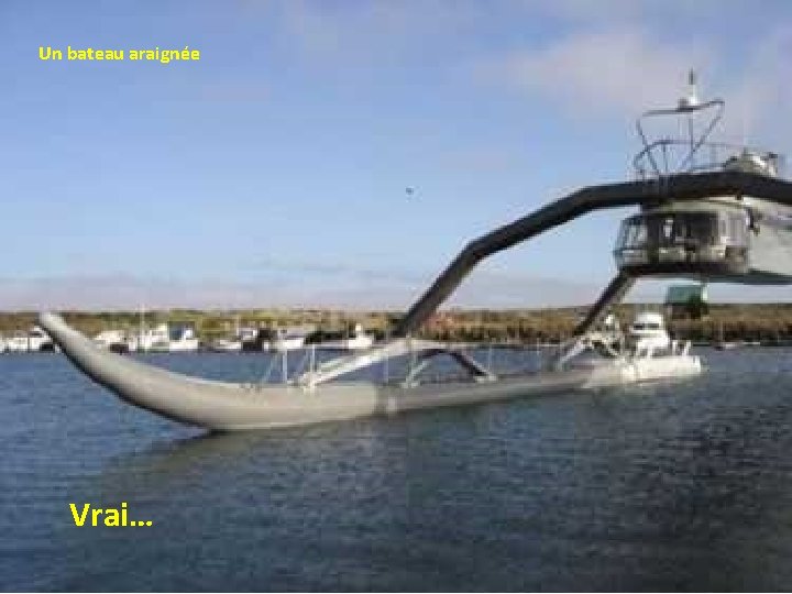 Un bateau araignée Vrai… 