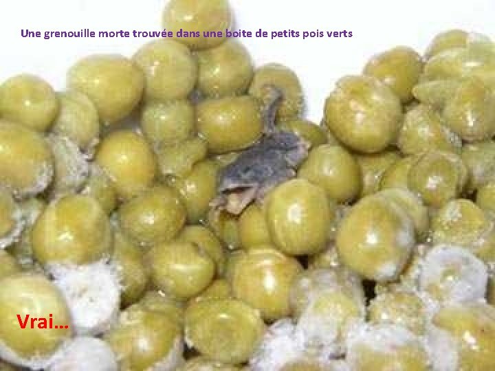 Une grenouille morte trouvée dans une boite de petits pois verts Vrai… 