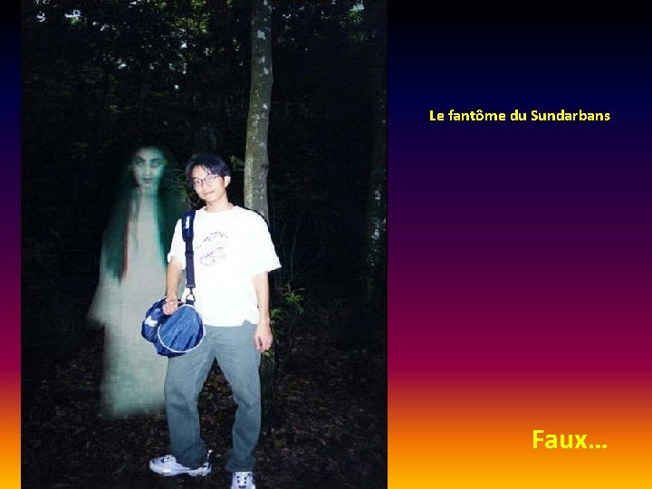 Le fantôme du Sundarbans Faux… 