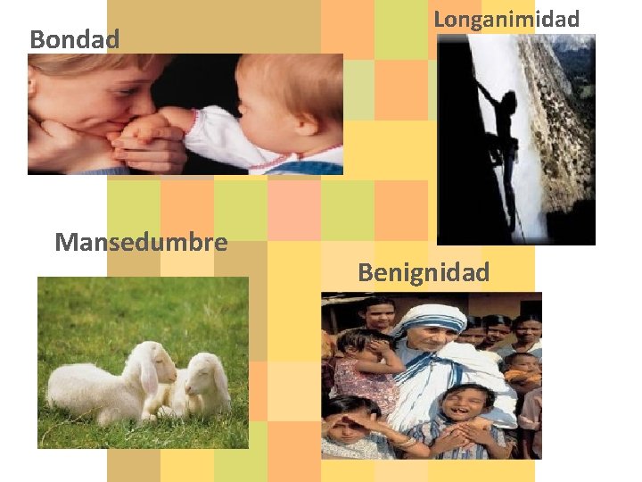 Bondad Mansedumbre Longanimidad Benignidad 