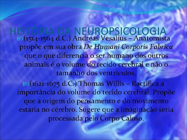 HISTÓRIA DA NEUROPSICOLOGIA (1514 -1564 d. C. ) Andreas Vesalius – Anatomista propõe em