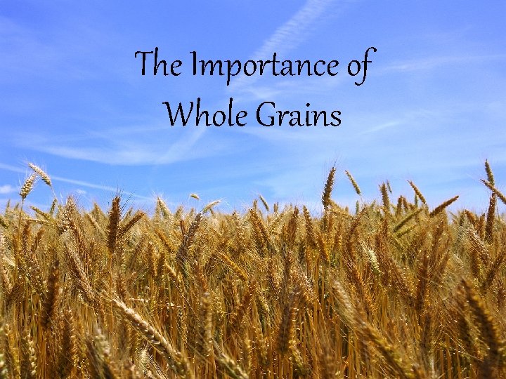 The Importance of Whole Grains 