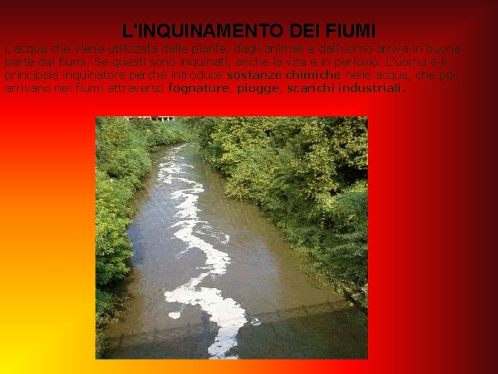 L'INQUINAMENTO DEI FIUMI L'acqua che viene utilizzata dalle piante, dagli animali e dall'uomo arriva