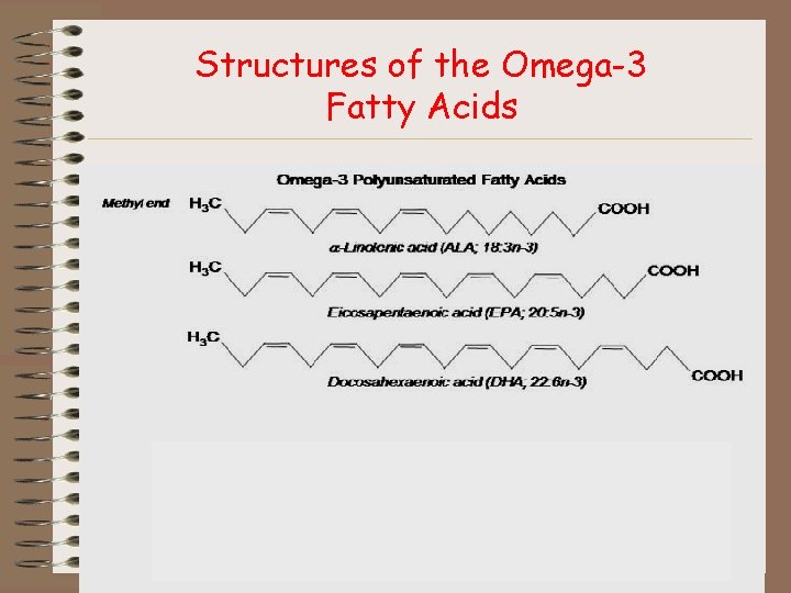 Structures of the Omega-3 Fatty Acids PBRC 2005 