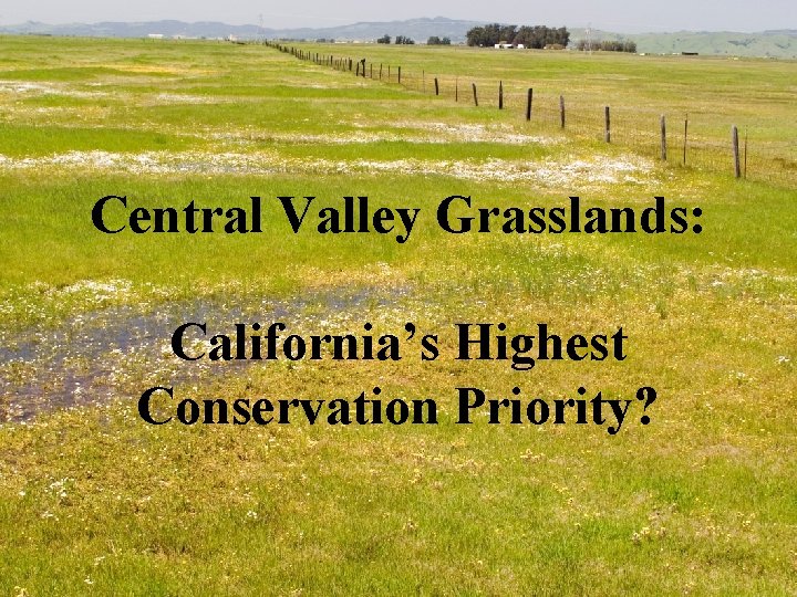 Central Valley Grasslands: California’s Highest Conservation Priority? 