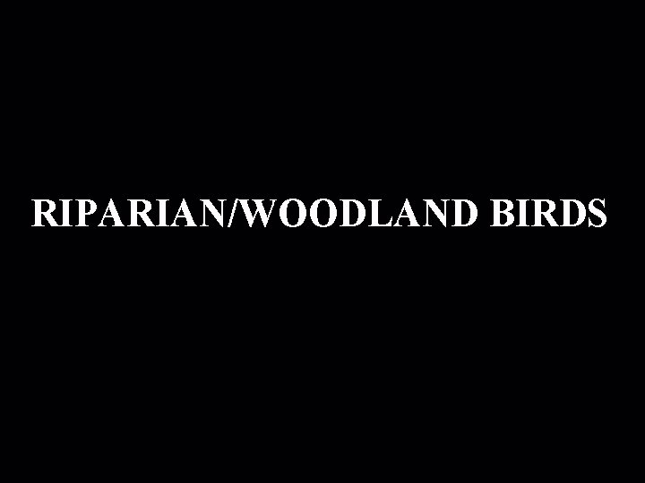 RIPARIAN/WOODLAND BIRDS 
