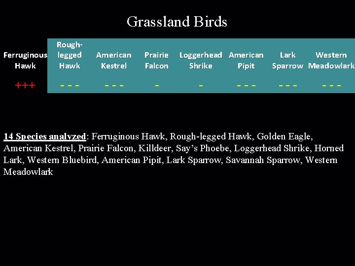 Grassland Birds Ferruginous Hawk Roughlegged Hawk American Kestrel Prairie Falcon +++ --- - Loggerhead